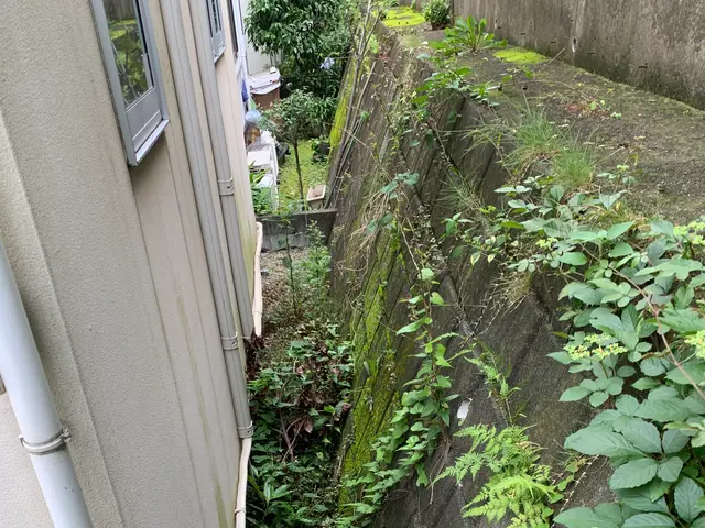 【創業35年】草刈り（草刈り機）お任せ下さい！腕にはかなり自信があります！サービスの画像