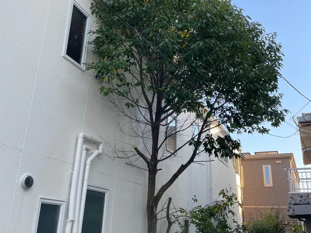 堺市発！外注無し！伐採作業致します。サービスの画像