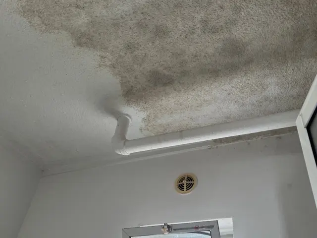 作業外注一切なし◎予約対応～作業完了まで、当社スタッフがすべてご対応！サービスの画像