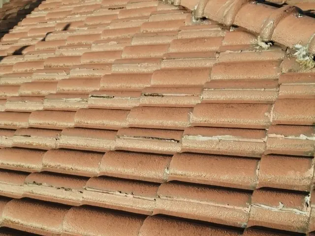 【一級塗装技能士 保有】業界歴25年の当店にお任せくださいサービスの画像