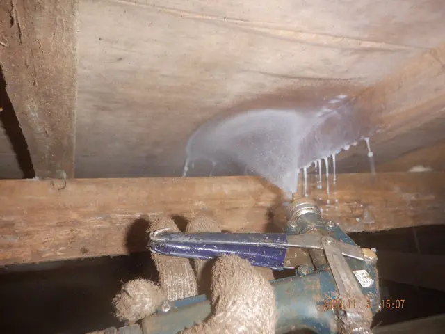 しろあり防除施工士◎業歴15年〜◎年間300件〜◎5年保証◎損害賠償保険付きサービスの画像