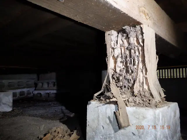 しろあり防除施工士◎業歴15年〜◎年間300件〜◎5年保証◎損害賠償保険付きサービスの画像