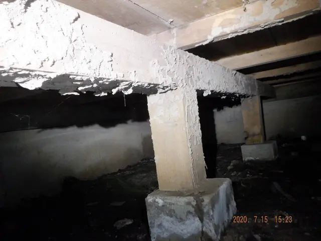 しろあり防除施工士◎業歴15年〜◎年間300件〜◎5年保証◎損害賠償保険付きサービスの画像