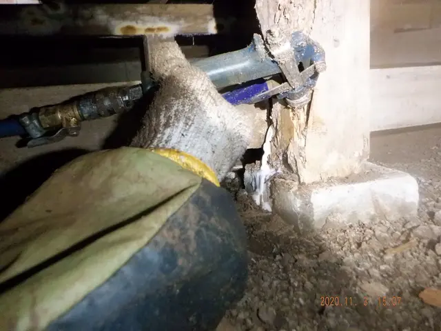 しろあり防除施工士◎業歴15年〜◎年間300件〜◎5年保証◎損害賠償保険付きサービスの画像