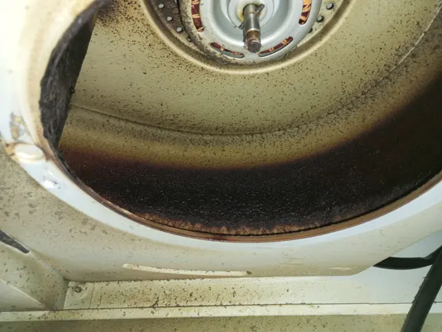 シロッコファンコーティングとレンジフード本体の防汚コーティングサービス中です！サービスの画像