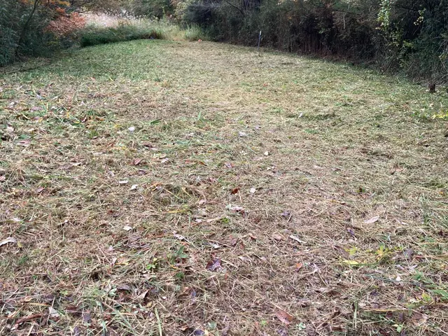 【女性スタッフ同行可能】大手での作業経験あります◉サービスの画像