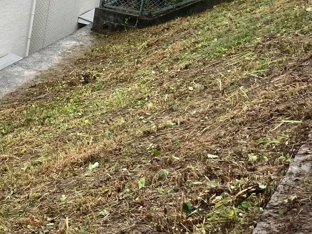 【女性スタッフ同行可能】大手での作業経験あります◉サービスの画像