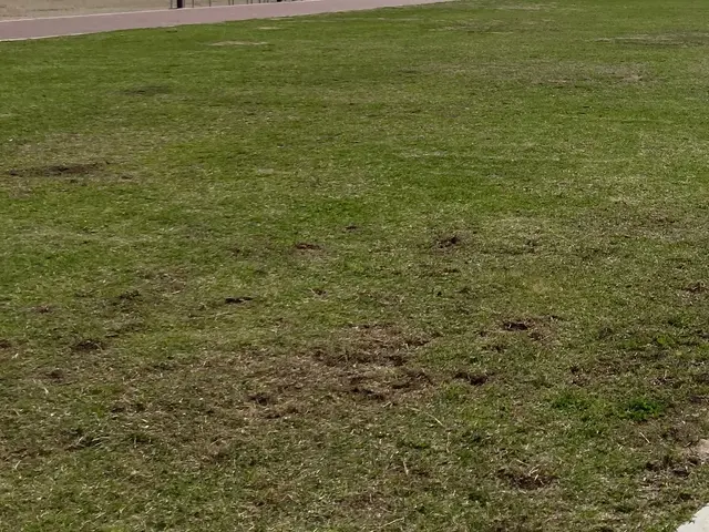 【女性スタッフ同行可能】大手での作業経験あります◉サービスの画像