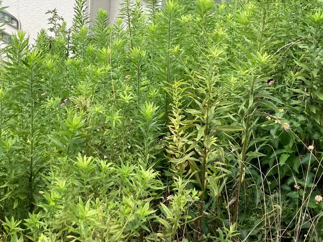 【女性スタッフ同行可能】大手での作業経験あります◉サービスの画像