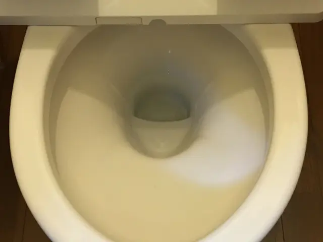 【モットーは清く正しく美しく！】きめ細かいサービスを徹底追求！サービスの画像