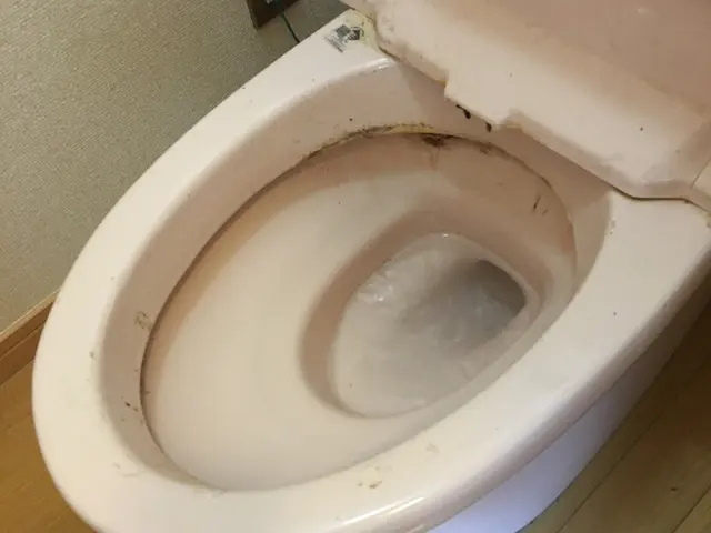 【モットーは清く正しく美しく！】きめ細かいサービスを徹底追求！サービスの画像