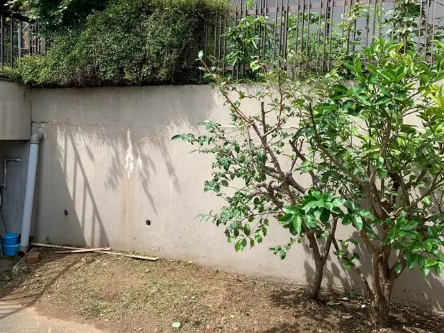 お客様のご要望に可能な限りお応えする柔軟対応の自社完結サービスサービスの画像