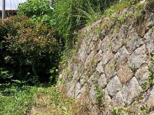 お客様のご要望に可能な限りお応えする柔軟対応の自社完結サービスサービスの画像