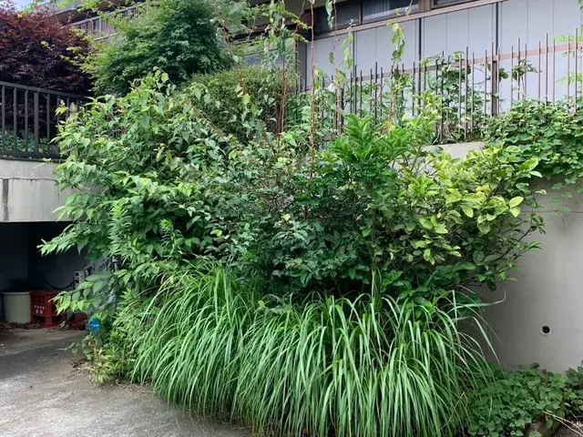 お客様のご要望に可能な限りお応えする柔軟対応の自社完結サービスサービスの画像