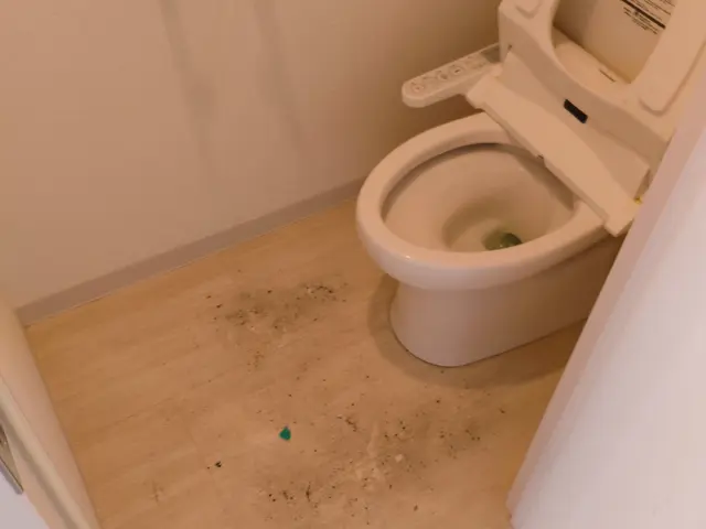 累計800件の実績！家族に寄り添う安心・ていねい清掃サービスサービスの画像