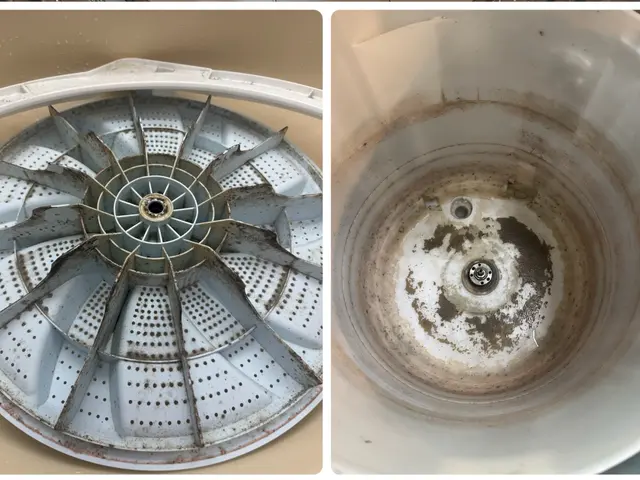 洗濯機（縦型）クリーニングサービスの画像