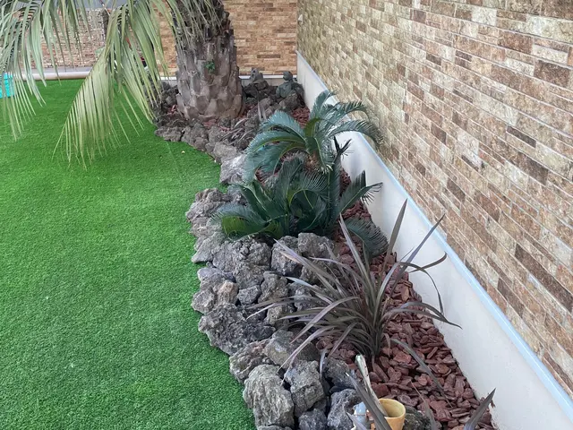 庭木や花の植栽致します！サービスの画像