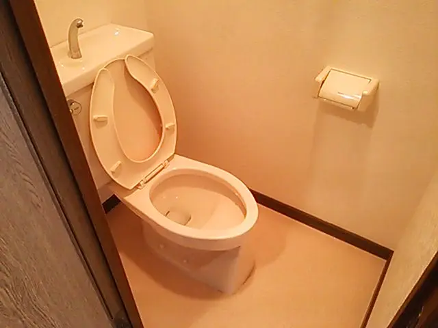 防汚コート無料！頑固な尿石まで徹底除去！サービスの画像