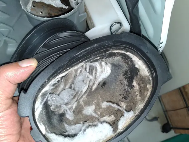 諦めていた洗濯槽の汚れ、プロの技で徹底除去！ 【分解洗浄】で、新品同様の清潔さをサービスの画像