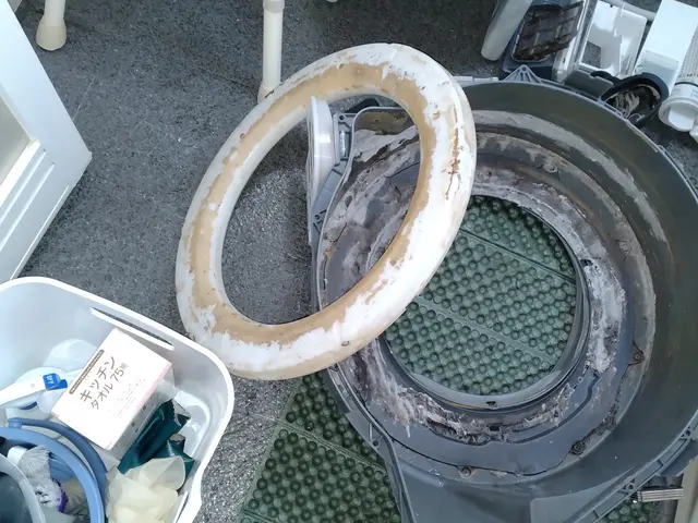 諦めていた洗濯槽の汚れ、プロの技で徹底除去！ 【分解洗浄】で、新品同様の清潔さをサービスの画像