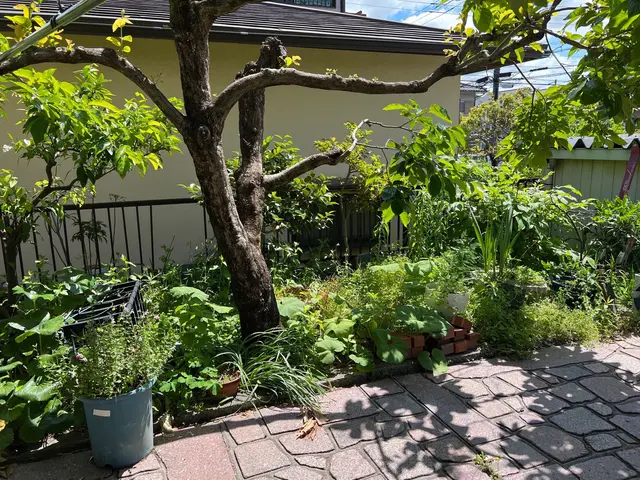 ◆予約から施工まで100%自社対応◎女性スタッフ同行可◎対応地域外も対応可サービスの画像