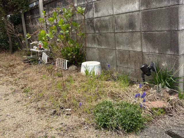 ◎お庭の草抜きはお任せください！便利屋の行う庭作りのお手伝い！（処分費込みです）サービスの画像