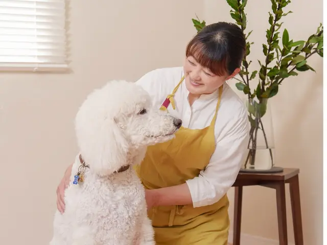 老犬・老猫ホーム運営◎シニアも大型犬も安心して任せられるペットシッターサービスの画像