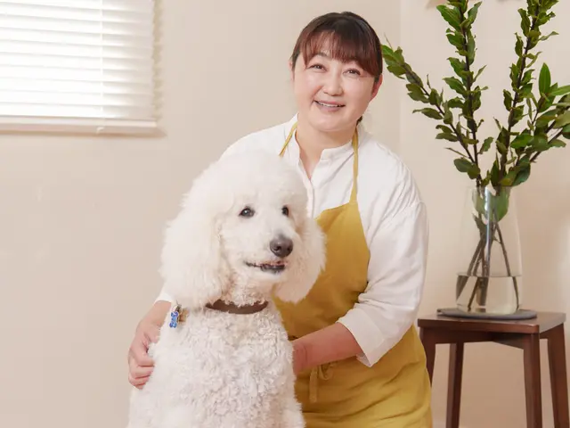 老犬・老猫ホーム運営◎シニアも大型犬も安心して任せられるペットシッターサービスの画像