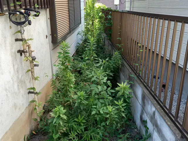 地域密着型の植木屋です○庭の悩みお気軽にご相談しながらお庭を綺麗に○良いご縁を○サービスの画像