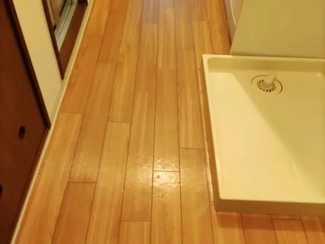 年中無休●PayPay可●女性店長がお伺いします・大阪府内、兵庫県内一部対応サービスの画像