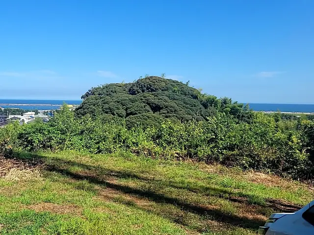 【新規出店】レスポンスの速さと丁寧なヒアリングで対応【安心の法人企業】サービスの画像