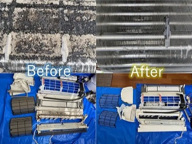 ペイペイ支払いで《最大20%》戻ってくる!!キャンペーン中!!【11/30迄】サービスの画像