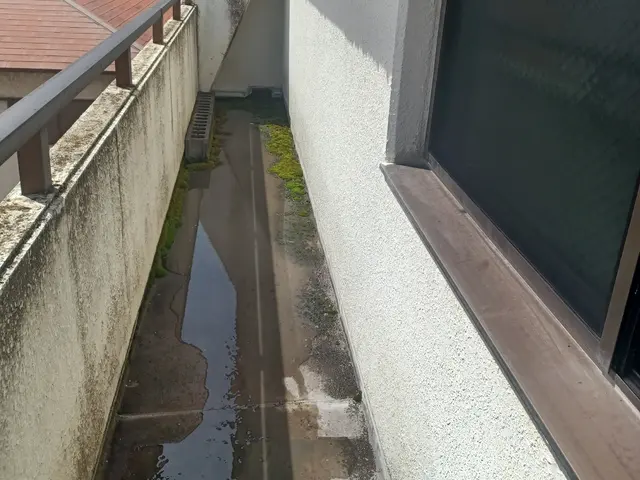 空室清掃どんな事でも一度ご連絡下さい。サービスの画像