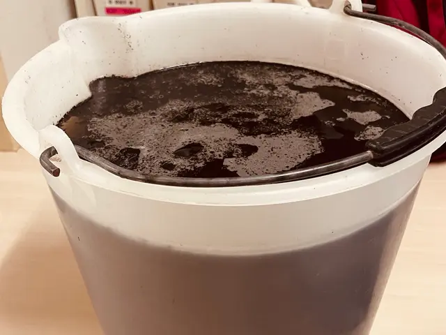 ★オープニング限定価格★累計実績1,500台以上★期間限定で抗菌コート無料★サービスの画像