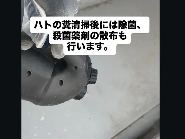 ★即日対応当日作業も可能★大手経験10年の信頼と実績サービスの画像