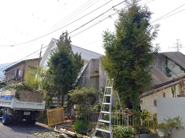 伐採抜根、大小問わずお任せ下さい！迷ったらとりあえずポチって下さい(^^)サービスの画像