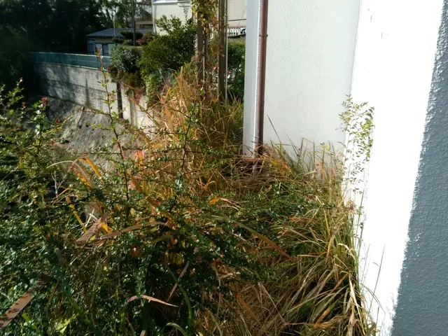 ＜便利屋さんとしてお困りごと解決＞営業時間外もご相談可能◎サービスの画像