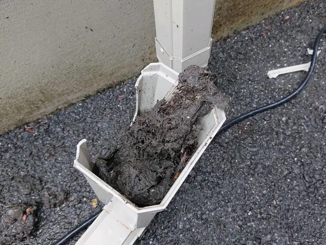 ■雨樋詰まり 基本料金内で高圧洗浄■ほとんどの場合が足場不要です(o^^o)サービスの画像