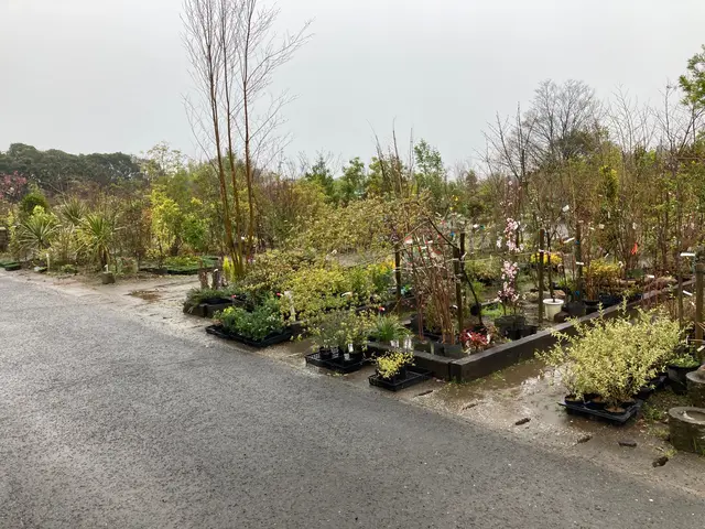 鹿児島県◇損害保険加入済み！カード決済可！誠実対応・確実施工を行います！サービスの画像