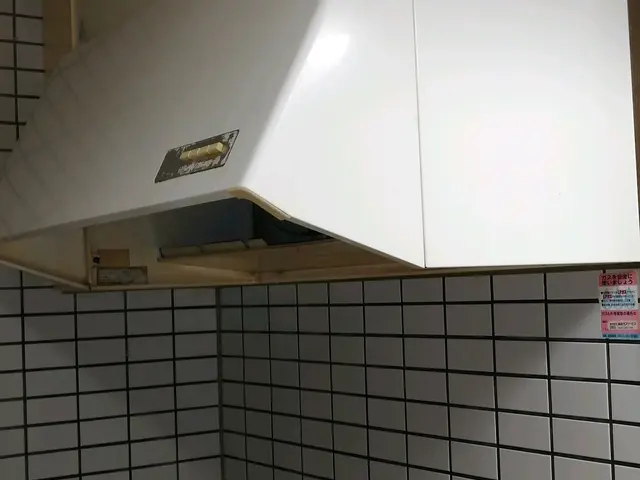 安心☆丁寧♪初めての方☆レンジフードのギトギト油汚れ一掃しませんか？サービスの画像