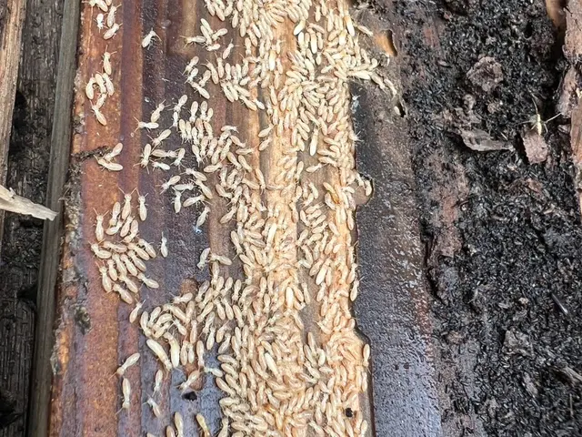 即日対応！表示金額以上料金はかかりません！ぜひ1度お問合せ下さい！サービスの画像