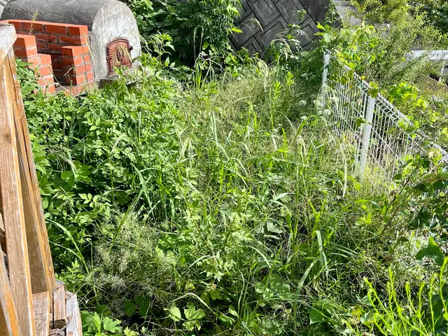 【グリーンいわい】１級造園技能士があなたのお庭をスッキリいたします！サービスの画像