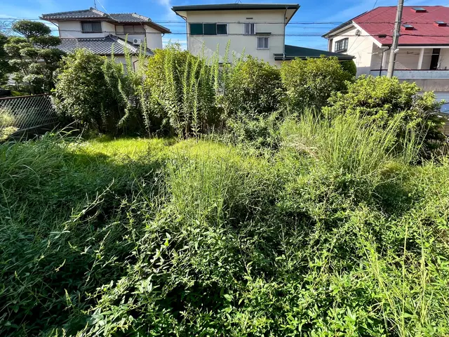 【グリーンいわい】１級造園技能士があなたのお庭をスッキリいたします！サービスの画像