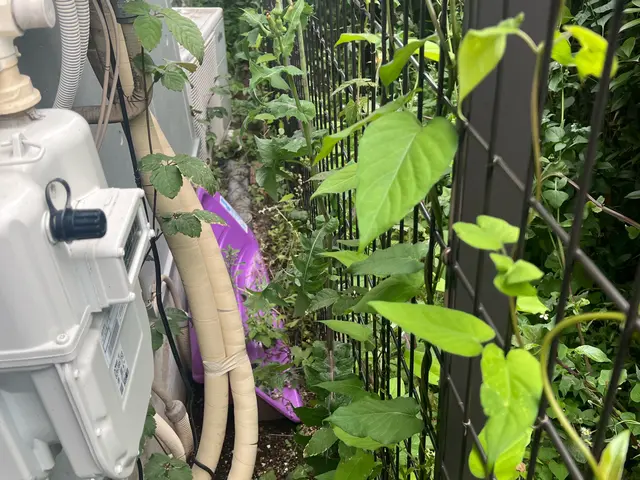 気になっている場所をスッキリしませんか？？サービスの画像