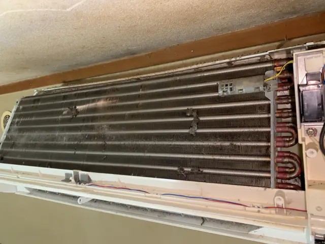 小さなお子様やペット、年配の方に安心安全なエコ洗剤使用！2台からがお得！サービスの画像