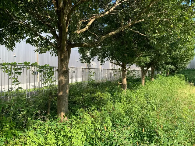 見た目もスッキリ！雑草をしっかり刈って快適な環境をお届けします！サービスの画像