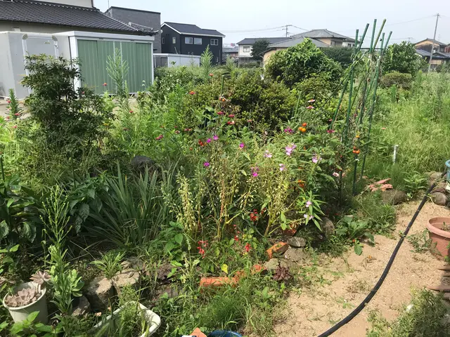 ♣︎カード PayPay♣︎○除草○外観管理○芝刈り○手付かずの庭○苦情対応◉等サービスの画像