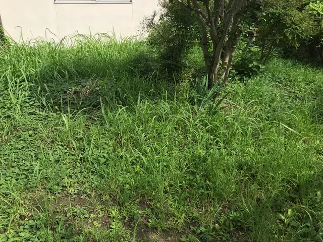 ♣︎カード PayPay♣︎○除草○外観管理○芝刈り○手付かずの庭○苦情対応◉等サービスの画像