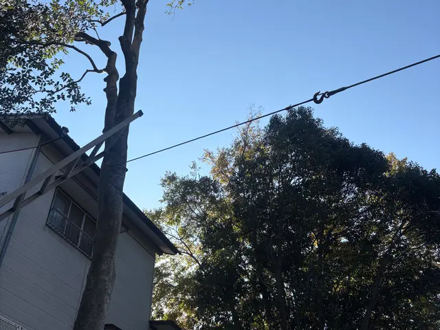 庭木の伐採・草刈り・回収サービスサービスの画像