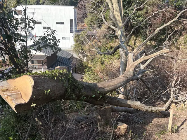 庭木の伐採・草刈り・回収サービスサービスの画像